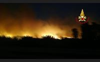 sedilo solidariet agli allevatori di siniscola aiuti dopo incendi