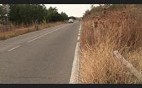 in marmilla strade invase da erbacce i sindaci pericolo per gli incendi