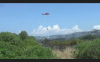 carloforte vasto incendio minaccia le case dello spalmatore