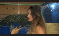 tertenia il coccodrillo jack torna sotto il tendone del circo