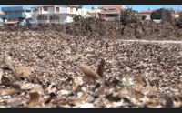 alghero sguardo all estate 2020 spiagge pulite e maggior sicurezza