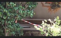 siniscola quarto attentato al sindaco qualcuno rifiuta le regole