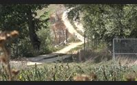 fonni le vie della transumanza come risorsa tra turismo e ambiente