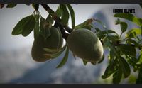 questa sera alle 21 su videolina torna i 5 sensi dell arte