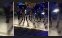 agenti uccisi a trieste l omaggio a cagliari di poliziotti e carabinieri