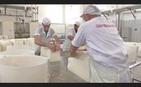 niente dazi sul pecorino romano per ora prudenza fino al 18 ottobre
