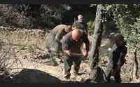 bono la manovra di forestas sblocca le assunzioni e stabilizza 1120 operai
