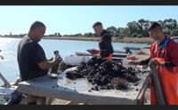 la rinascita di santa gilla i pescatori abbiamo fatto tutto da soli