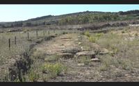 cabras esprori a mont e prama scavi oltre l area del vigneto
