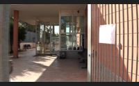 sassari l ospedale veterinario rimane chiuso nessun aiuto dall ateneo teneo