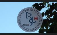 cagliari gli studenti fuori sede alla ricerca di un tetto