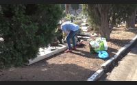 cimiteri trasformati in giardini di fiori e di colori per il 2 novembre