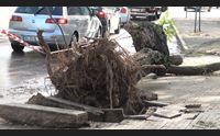 i danni del maltempo a sassari alberi crollati e auto distrutte