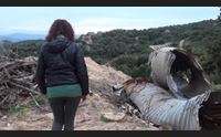 olbia l alluvione del 2013 la sopravvissuta chiedo giustizia