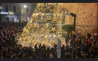 l albero di natale degli studenti simbolo di accoglienza e libert