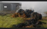 palmas arborea a fuoco il fienile del comune atto doloso