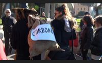 befana ambientalista carbone alla giunta solinas politica che inquina