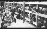 padru la giornata della memoria