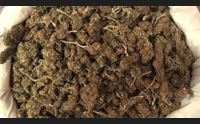 olbia blitz antidroga dei carabinieri due arresti e 73 chili recuperati