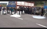 prezzo del latte un anno fa la protesta che infiamm l isola