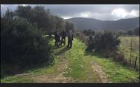 dolianova i fratelli scomparsi oggi gruppo di ricerca di familiari e amici
