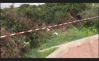speranza ponti i rilievi del ris non si suicidata uccisa per denaro