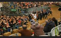 domenica di carnevale una sartiglia stellare e trionfo di popolo