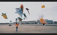 olbia flight club in archivio ora la geasar pensa alla stagione