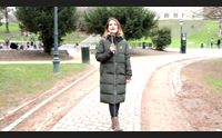 videolina oggi al mercato da domani in giro per l europa