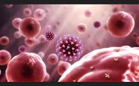 coronavirus parla l assessore nieddu da noi nessun focolaio