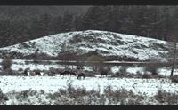 neve in ogliastra e nel nuorese inizio primavera con coda di inverno