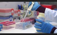 virus i diabetologi alla regione subito la teleassistenza per i pazienti