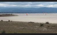 cagliari canne al poetto apre il cantiere per la rimozione