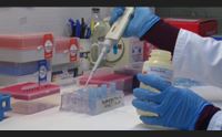 emergenza sanitaria audizioni in consiglio situazione sotto controllo
