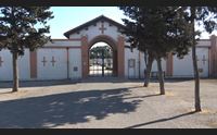 pasqua un segno per i defunti nei cimiteri un fiore per chi non c pi