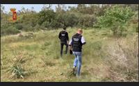 droga fra oristano e hinterland 5 nei guai spaccio anche nelle scuole