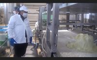 pecorino romano a gonfie vele il consorzio si al nuovo bando indigenti