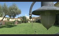 arborea horse country stagione compromessa ripartiamo dai cavalli
