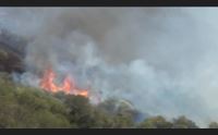 campagna antincendio al via in campo oltre 7 mila persone due canadair a olbia
