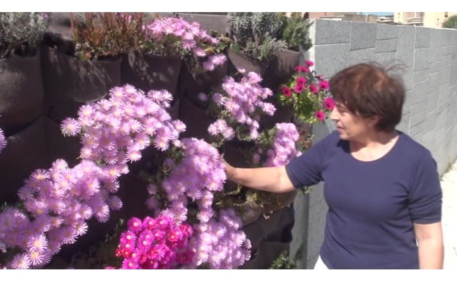 Segariu Il Comune In Piena Pandemia Regala I Fiori Della Speranza Ai Cittadini Videolina