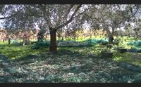 fase 2 al via la sardegna riparte su videolina alle 21 monitor