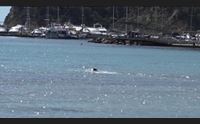 cagliari nuoto pedalate e passeggiate la fase 2 realt