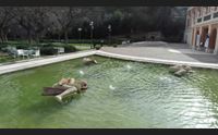 virtual tour musei