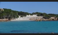 la maddalena il comune chiede aiuto al parco per pulire le spiagge