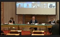 insularit il comitato in senato riaffermare l identit scippata