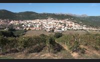 berchidda comune ecologico sostegno a favore degli allevatori