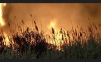 cagliari firmato il protocollo sulla campagna antincendio
