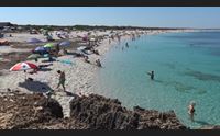 cabras in spiaggia in sicurezza nuove regole a is arutas e san giovanni