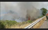 incendi 2020 roghi in aumento rafforziamo l attivit investigativa