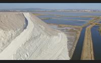 ripartono le sere fai d estate alle saline cointivecchi